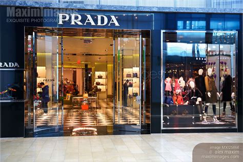 prada canada|can you buy prada online.